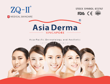 นิทรรศการสิงคโปร์ 12.5-7